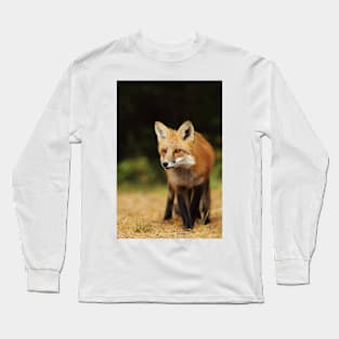 Red Fox, Algonquin Park Long Sleeve T-Shirt